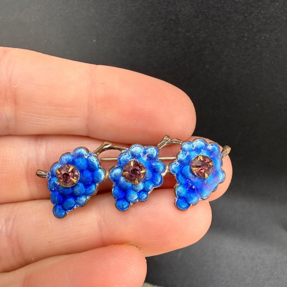 Vintage Enamel Rhinestone‎ Brooch Silver Tone Grapes